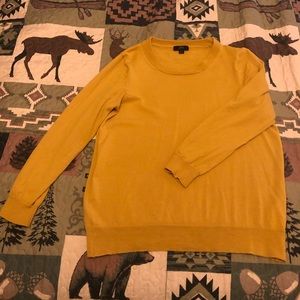 J Crew Tippi Sweater